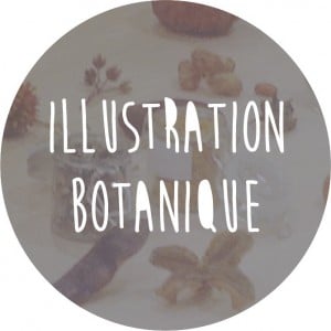 icône - atelier d'illustration botanique
